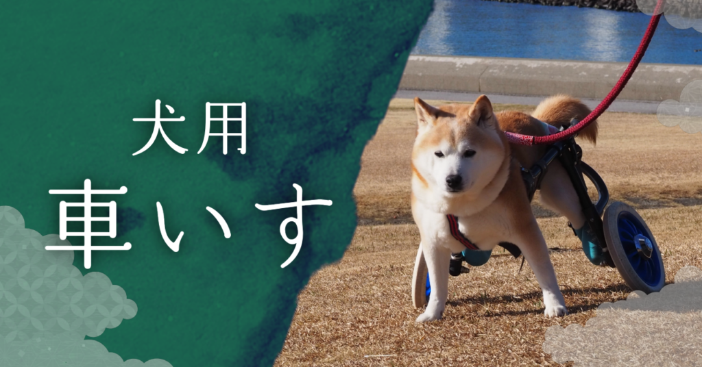 Adobe Express作成事例：犬用車いすLANDAM